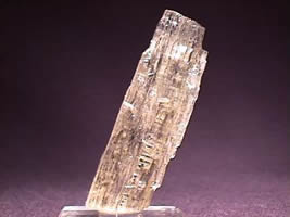 Rocks Minerals Ontario Scapolite