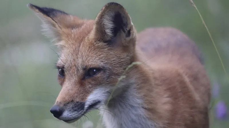 Visitor Center Algonquin Park