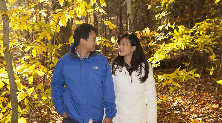 4 Season Resort