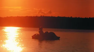 Motor & Paddle Boats